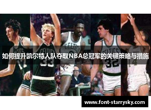 如何提升凯尔特人队夺取NBA总冠军的关键策略与措施